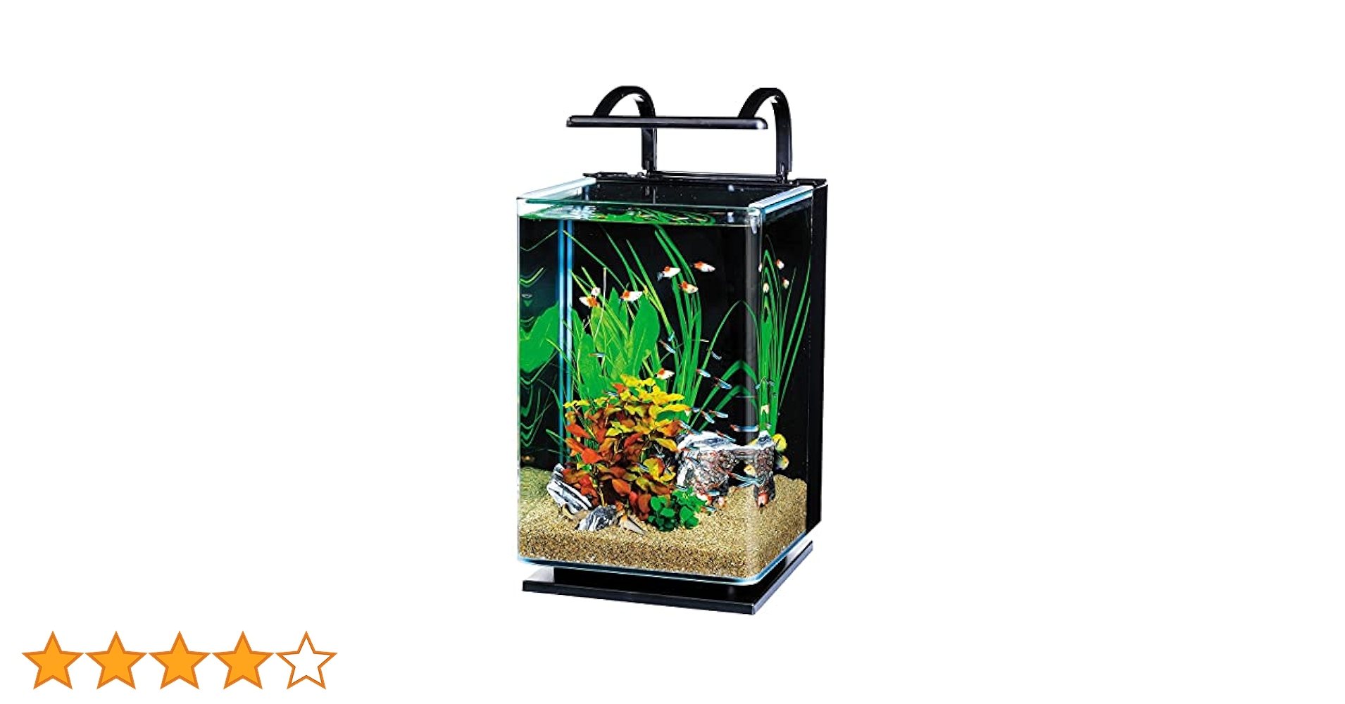 テトラ (Tetra) ガラス リビングキューブ 20 (容量 約20L) Tetra テトラ リビングキューブ 20 オールインワン水槽 淡水